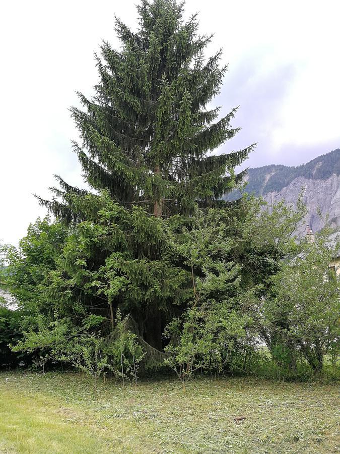 Sport'Hotel - Residence De Milan Le Bourg-dʼOisans Buitenkant foto